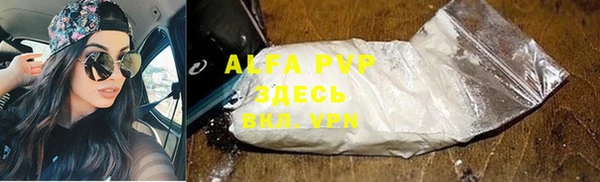 индика Касимов