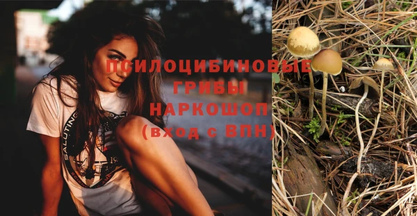 ECSTASY Абинск
