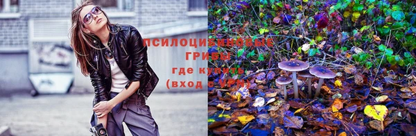 спайс Козловка
