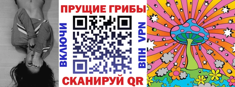 Псилоцибиновые грибы прущие грибы как найти закладки Власиха
